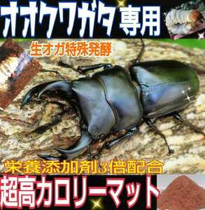 オオクワガタ専用☆超高カロリーマット【3袋】生オガを特殊発酵！共生バクテリア・特殊アミノ酸など栄養添加剤を３倍配合☆フタマタ系にも