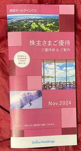 西武ホールディングス　株主優待冊子　300株以上　2025/05/31　重いので発送は券のみ