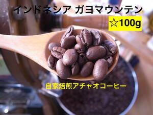 自家焙煎アチャオコーヒー　インドネシアの秘宝　ガヨマウンテン　焙煎したて100g　送料込み！お試しあれ～