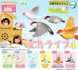 ★★★即決!文鳥ライフ4 全6種 送料120円～【総額2298円～】★ラスト3★白文鳥/桜文鳥/シナモン文鳥/フィギュア小物/カプセルトイ/小鳥★