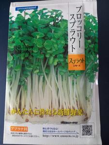 未開封＜野菜の種＞ブロッコリースプラウト　ヘルシー野菜　15ｍｌ