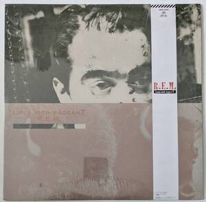 【OBI 帯付き LP 】R.E.M. / Lifes Rich Pageant （日本盤レコード 28AP 3240）