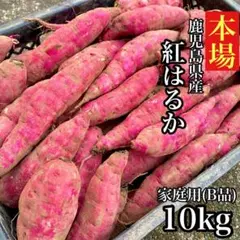 【本場】紅はるか 訳あり 10kg さつまいも シルクスイート好きに204