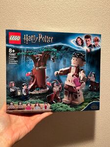 新品未開封★廃盤品 75697 LEGO レゴ ハリーポッター ハリー ポッター 禁じられた森 グロウプとアンブリッジの遭遇 harry potter