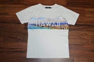 ●即決！SHIPS Colors フォトプリントTシャツ ”HAWAII” M 良品