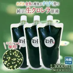 和香特選 生 クロレラ 原液3L めだか 金魚 稚魚ミジンコPSBE