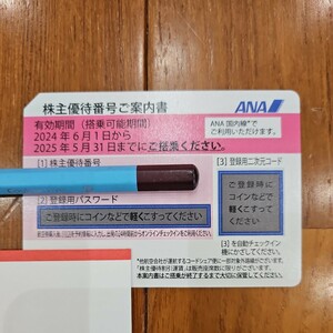 ANA 全日空 優待 最新 即決 送料無料 