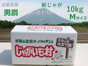 (近藤農園直送) 北海道羊蹄山麓産【男爵】正品 Mサイズ 10kg