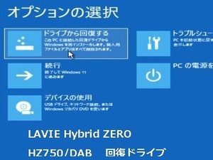 LAVIE Hybrid ZERO HZ750/DAB (HZ550/DAB) 回復ドライブ　再セットアップメディア　USB 32GB