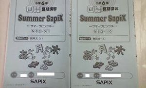 サピックス ＳＡＰＩＸ＊サマー サピックス＊夏期講習＊小６ ６年・国語／全１８回 完全版～漢字特訓付き＊２０１９年