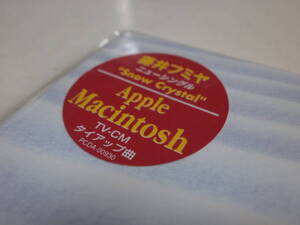 8cmCD シングル 藤井フミヤ Snow Crystal Rose (ロゼ) Apple Macintosh THE CHECKERS チェッカーズ F-BLOOD 藤井尚之 富田素弘