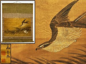 大幅 小雨銘 鷹の図 絹本 約137.8×109.4cm 掛軸 書画 骨董品 美術品 6109mjzN