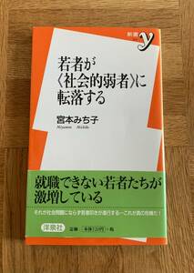 若者が《社会的弱者》に転落する/送料無料/ゆうパケットお受け取り