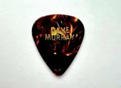 【希少】 Iron Maiden/Dave Murray/Guitar Pick