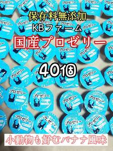 KBファーム 国産プロゼリー16g 40個 カブトムシ クワガタ 昆虫