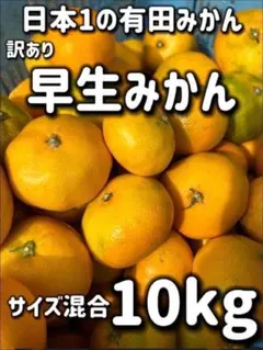 日本1 有田みかん 早生 10kg サイズ混合 和歌山県産 早生みかん