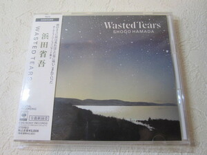 【CD】 浜田省吾 / WASTED TEARS