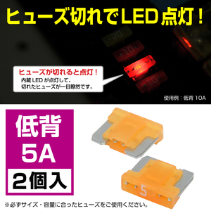 BigOne 切れたら光って知らせる インジケーター 内蔵 2個セット 低背 ASM ヒューズ 5A LED