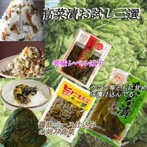 【宮崎の漬物】 高菜漬け三選 甘造りたかな漬 200g×1袋 ピリ辛高菜漬 150g×1袋 旨ごま高菜150g×1袋 人気高騰高菜料理 油炒め 送料無料