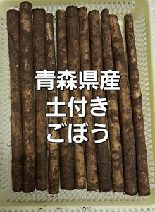 青森県産ごぼう