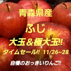 ★期間限定★青森県産 ふじ りんご 大＆極大玉 6~8玉 ③