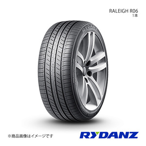 RYDANZ レイダン タイヤ 2本セット RALEIGH R06 255/50R19 107W XL Z0106×2 タイヤ単品