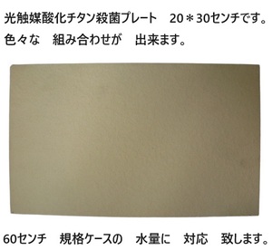 臭い亀　金魚　メダカ　対応 強力殺菌し　臭いを　軽減　光触媒酸化チタン殺菌プレート 　20＊30センチ　　3