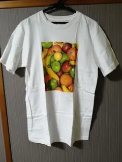 シュプリーム　Tシャツ 19SS