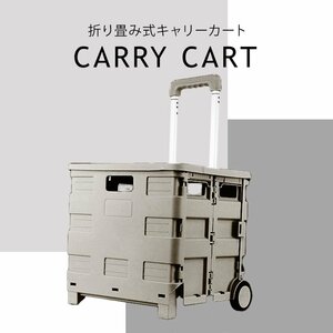 未使用 キャリーカー キャリーカート 折りたたみ カート ショッピングカート 折畳み キャリー 軽量 台車 耐荷重25kg アウトドア レジャー