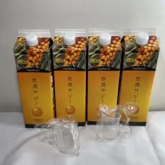 【送料込み】新品❗️豊潤サジージュース　1000mL 4本セット