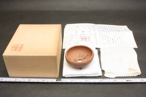 4292 珍品 新品 高級鉢 明治26年創業 6,5cm 瑞宝章 渡辺敬深 萬留平 有趣陶苑 桃花泥 鳥泥 鳥足 盆栽鉢 豆鉢 苔鉢 皿鉢 和鉢 ミニ鉢 共箱