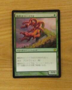 MTG　　　　霧裂きのハイドラ　　　日FOIL（THS)