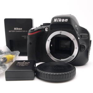 良品 Nikon ニコン D5100 シャッター回数3000以下 デジタル一眼レフカメラ #9750