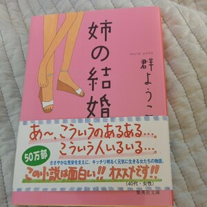 姉の結婚 （集英社文庫） 群ようこ／著