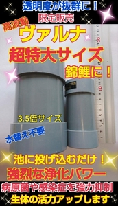 錦鯉の病気がなくなります【ヴァルナ超特大サイズ】病原菌や感染症など有害物質を強力抑制！透明度がアップします！800トン浄化☆5年間持続