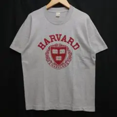 VINTAGE ハーバード大学 SCREEN STARS USA製 Tシャツ M