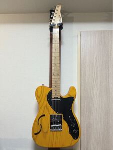 ［軽量］ SCHECTER テレキャスターシンライン シェクター ケース付き 木目 ギター エレキギター 本体