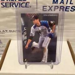 大谷翔平 2014 カルビー プロ野球チップス STARCARD キラ