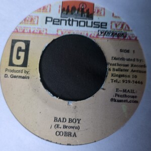 Cobra / Bad Boy Run Down The World Riddim