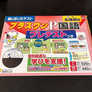 1742 プラスワンP国語 4年 AH4404 小学 ドリル 問題集 テスト用紙 教材 テキスト 解答 家庭学習 計算 漢字 過去問 ワーク 勉強 非売品