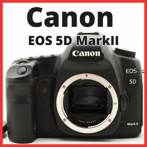 F26/5786A-18 / キャノン Canon EOS 5D MarkII ボディ