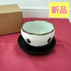 湯呑みセット　新品　茶托　湯呑み　セット　湯呑み茶碗　ドット　水玉