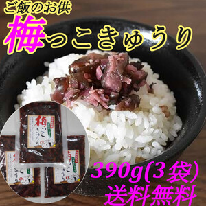 梅っこきゅうり 130g×3袋 南高梅 カリカリ梅 宮崎県産 きゅうり ご飯のお供に おにぎりの具材に お茶漬けに 食欲増進 送料無料