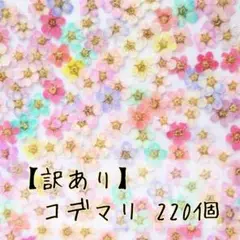 【訳あり】押し花素材 ： コデマリ 220個（166 ネイル パーツ レジン）