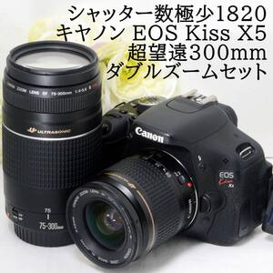 ★ショット数1820★Canon キャノン EOS Kiss X5 EF 28-80 75-300 超望遠300mm ダブルズームセット 16GB 新品SDカード付き 初心者 おすすめ