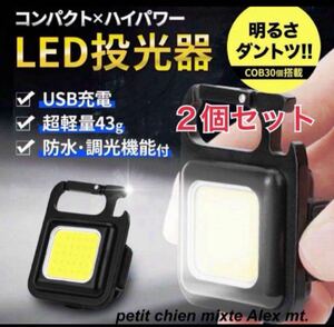 投光器 led ライト 防水 小型 充電式 屋外 作業灯 電球 スタンド COBライト COB カラビナ ミニ 投光器 作業灯 防水 マグネット キャンプ