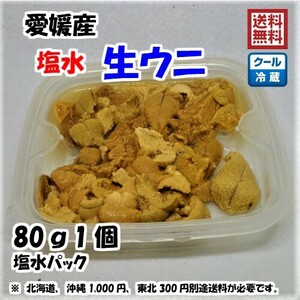 生ウニ 塩水ウニ （80g×1個） 愛媛 天然 紫ウニ 赤ウニ 期間限定 8月上旬~10月末 素潜り海士 送料無料 北海道/沖縄/東北は別途送料