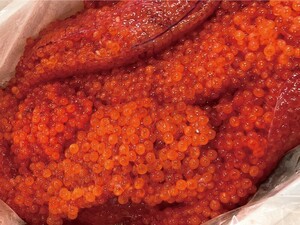 ★数量限定特価！「鱒鮭筋子醤油漬け」約2kg 濃厚な味わいとなっております！１本子ソフト系です！10kgまで送料一律でお届けします！