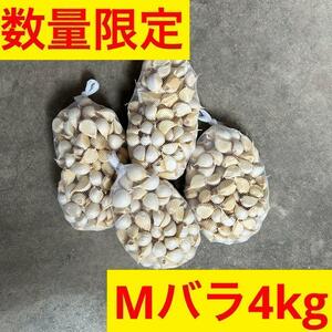 【期間限定】バラ4kg M 新物 青森県産にんにく 福地ホワイト 家庭菜園　食用