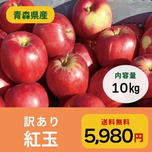 りんご【数量限定】 青森県産 訳あり 紅玉 10㎏ 送料無料 林檎 常温便でお届け致します！【6149】